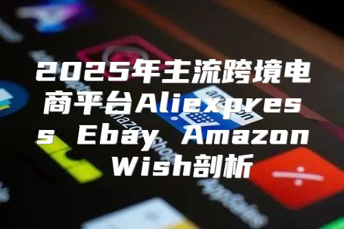 2025年主流跨境电商平台Aliexpress Ebay Amazon Wish剖析