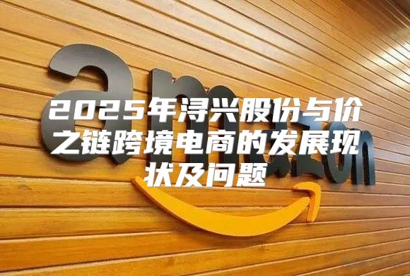 2025年浔兴股份与价之链跨境电商的发展现状及问题