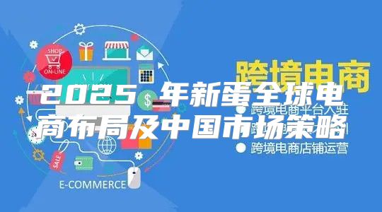 2025 年新蛋全球电商布局及中国市场策略