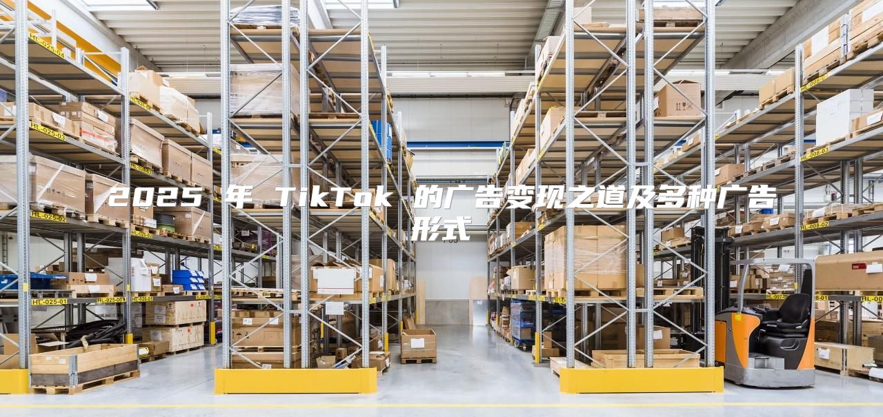 2025 年 TikTok 的广告变现之道及多种广告形式