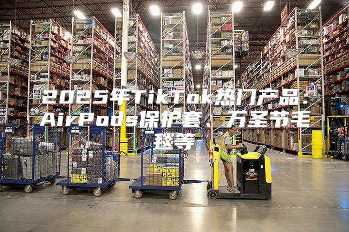 2025年TikTok热门产品：AirPods保护套、万圣节毛毯等