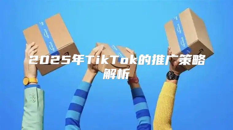 2025年TikTok的推广策略解析