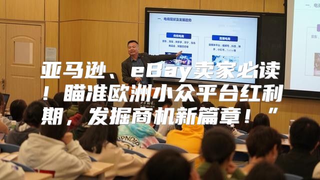 亚马逊、eBay卖家必读！瞄准欧洲小众平台红利期，发掘商机新篇章！”