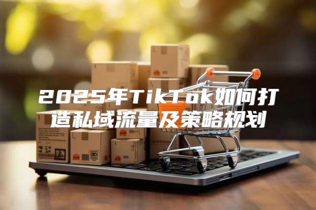 2025年TikTok如何打造私域流量及策略规划