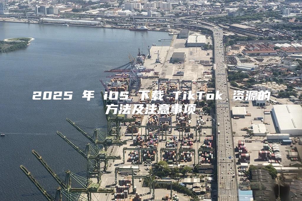 2025 年 iOS 下载 TikTok 资源的方法及注意事项