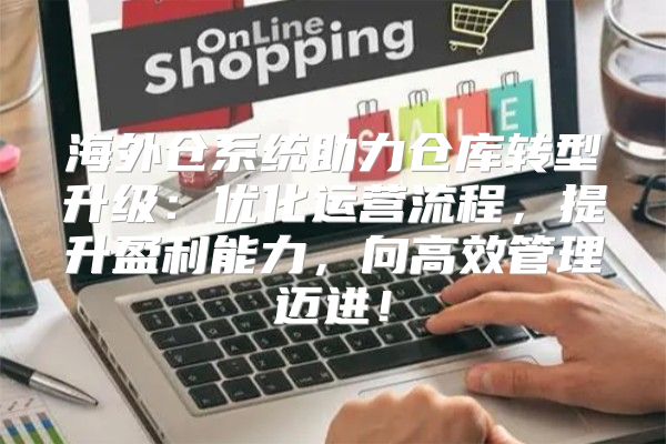 海外仓系统助力仓库转型升级：优化运营流程，提升盈利能力，向高效管理迈进！