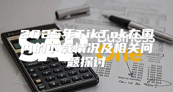 2025年TikTok在国内的下载情况及相关问题探讨