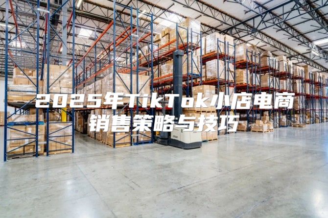 2025年TikTok小店电商销售策略与技巧