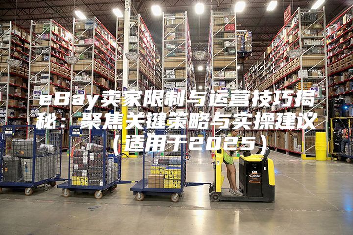 eBay卖家限制与运营技巧揭秘：聚焦关键策略与实操建议适用于2025