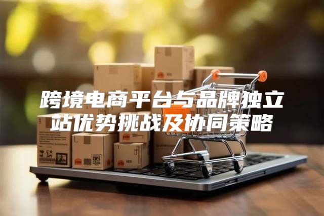 跨境电商平台与品牌独立站优势挑战及协同策略