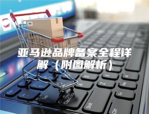 亚马逊品牌备案全程详解附图解析