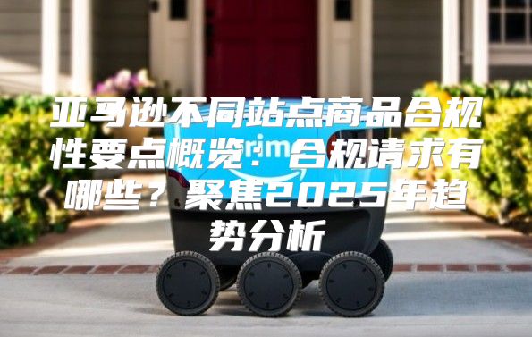 亚马逊不同站点商品合规性要点概览：合规请求有哪些？聚焦2025年趋势分析