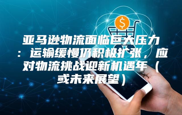 亚马逊物流面临巨大压力：运输缓慢仍积极扩张，应对物流挑战迎新机遇年或未来展望