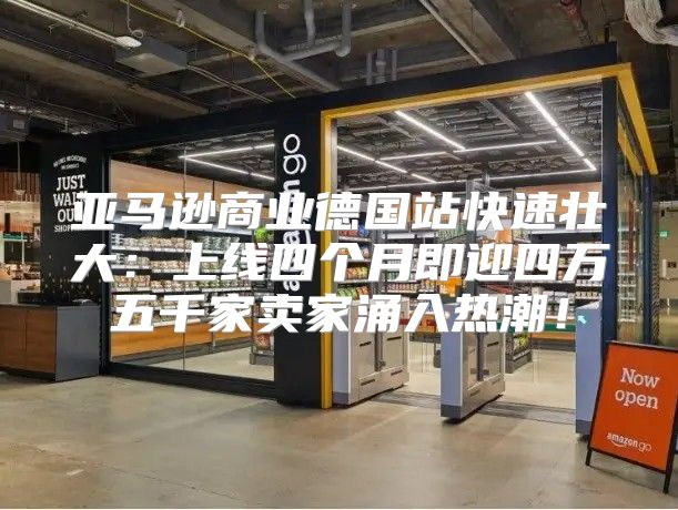亚马逊商业德国站快速壮大：上线四个月即迎四万五千家卖家涌入热潮！