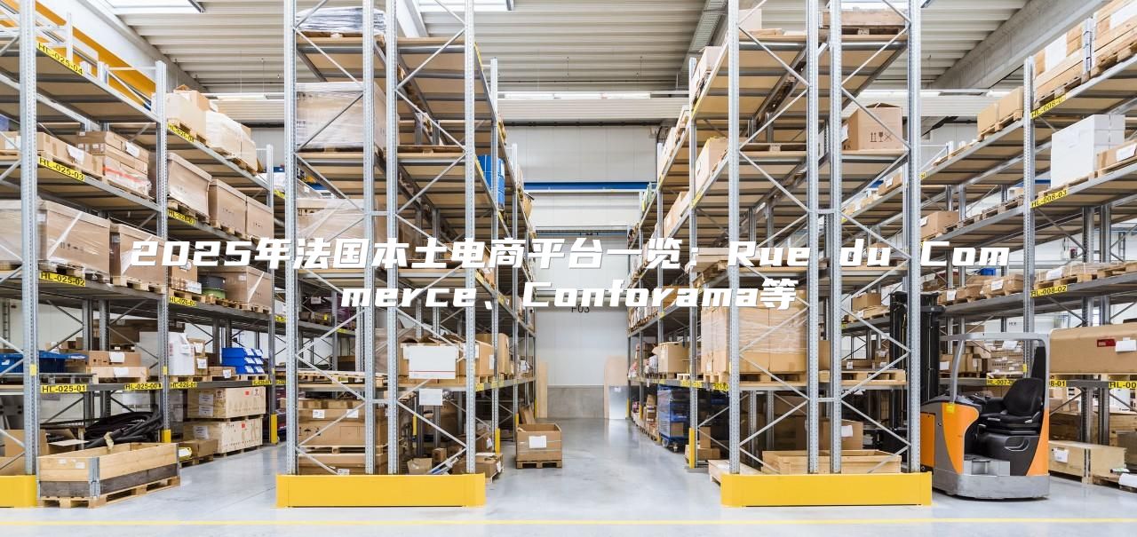 2025年法国本土电商平台一览：Rue du Commerce、Conforama等