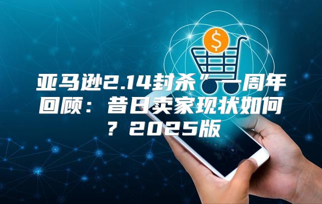 亚马逊2.14封杀”一周年回顾：昔日卖家现状如何？2025版