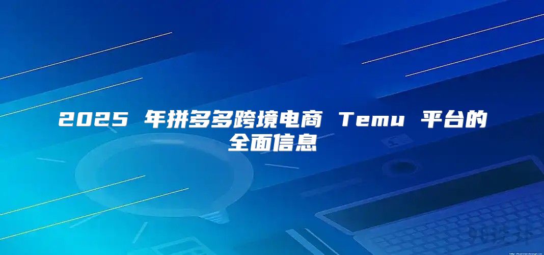 2025 年拼多多跨境电商 Temu 平台的全面信息