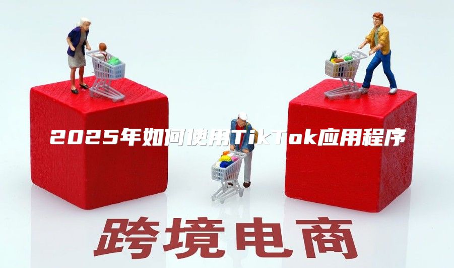 2025年如何使用TikTok应用程序