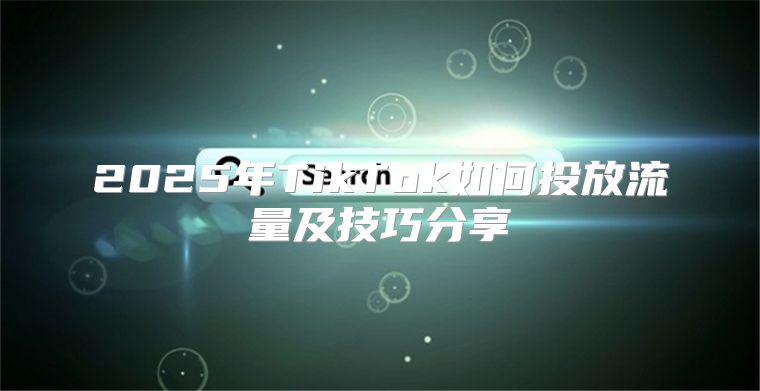 2025年TikTok如何投放流量及技巧分享