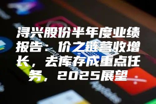浔兴股份半年度业绩报告：价之链营收增长，去库存成重点任务，2025展望