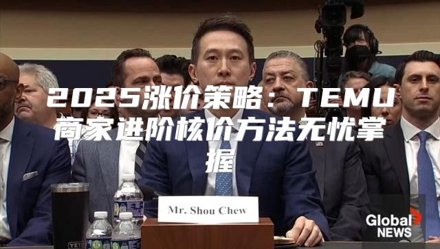 2025涨价策略：TEMU商家进阶核价方法无忧掌握
