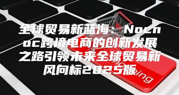 全球贸易新蓝海：Nocnoc跨境电商的创新发展之路引领未来全球贸易新风向标2025版