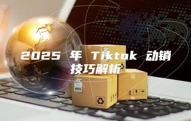 2025 年 Tiktok 动销技巧解析