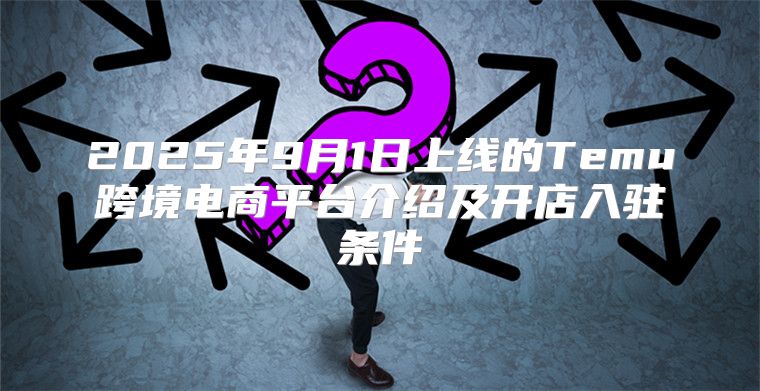 2025年9月1日上线的Temu跨境电商平台介绍及开店入驻条件