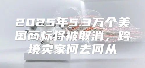 2025年5.3万个美国商标将被取消，跨境卖家何去何从
