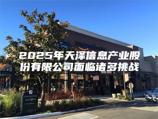 2025年天泽信息产业股份有限公司面临诸多挑战