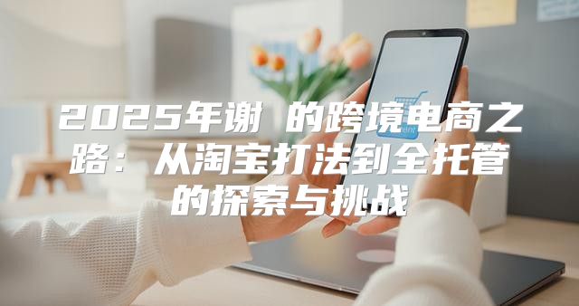 2025年谢祎的跨境电商之路：从淘宝打法到全托管的探索与挑战