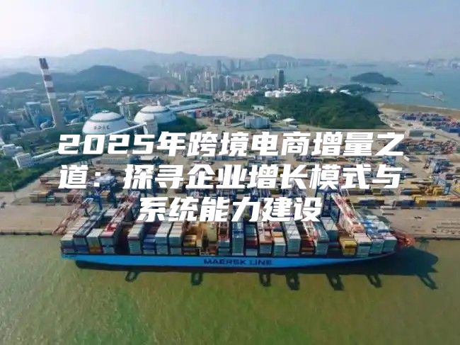 2025年跨境电商增量之道：探寻企业增长模式与系统能力建设