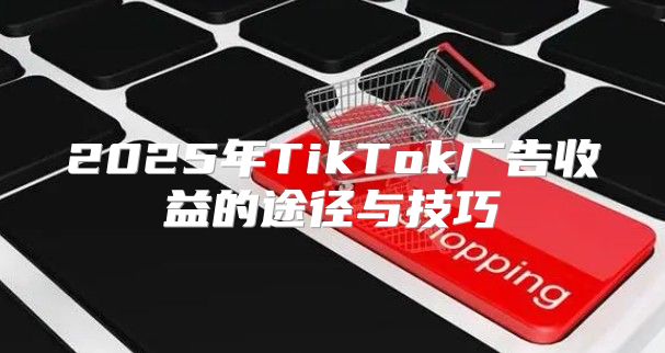 2025年TikTok广告收益的途径与技巧
