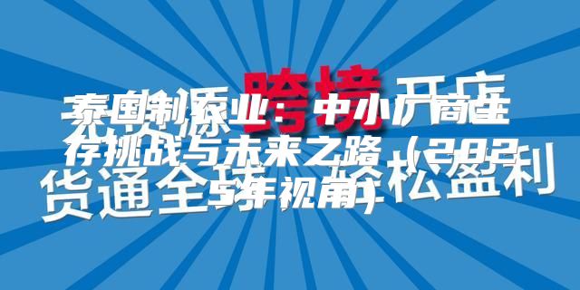 泰国制衣业：中小厂商生存挑战与未来之路2025年视角