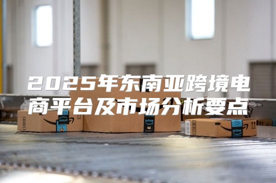 2025年东南亚跨境电商平台及市场分析要点