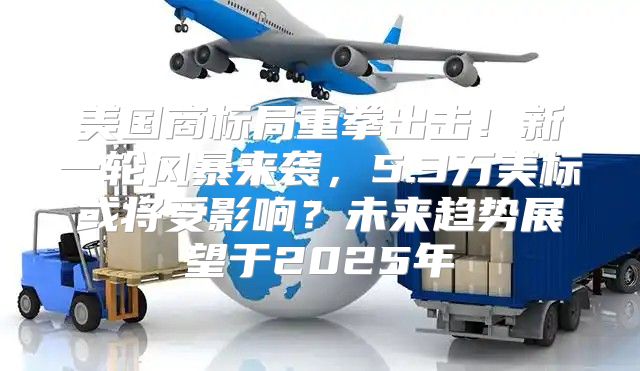 美国商标局重拳出击！新一轮风暴来袭，5.3万美标或将受影响？未来趋势展望于2025年