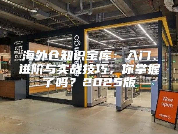海外仓知识宝库：入门、进阶与实战技巧，你掌握了吗？2025版