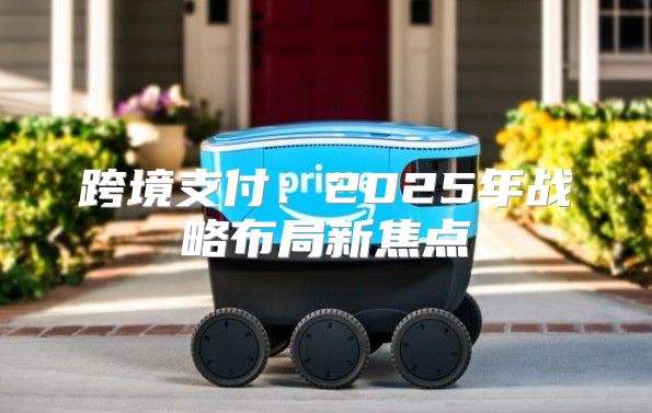跨境支付：2025年战略布局新焦点