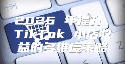 2025 年提升 TikTok 小店收益的多维度策略