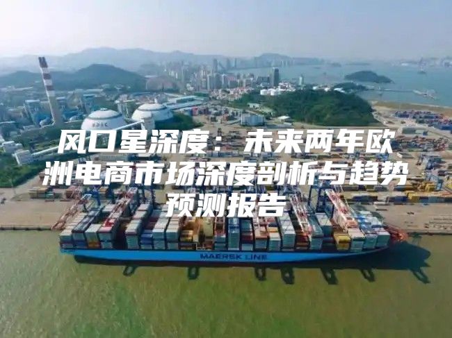 风口星深度：未来两年欧洲电商市场深度剖析与趋势预测报告