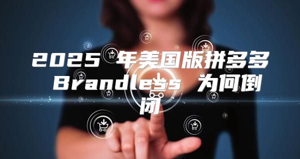2025 年美国版拼多多 Brandless 为何倒闭