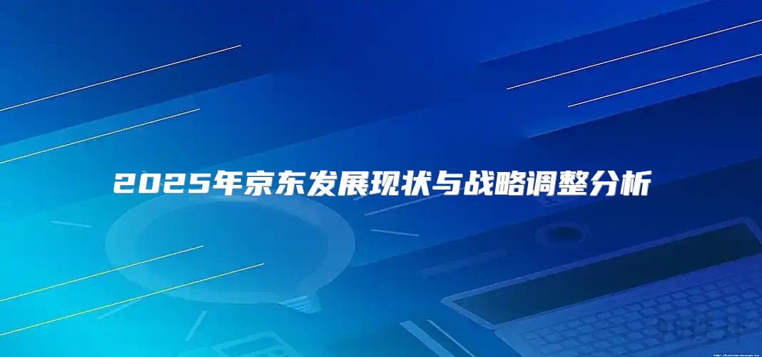 2025年京东发展现状与战略调整分析