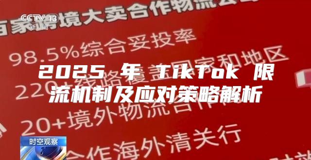 2025 年 TikTok 限流机制及应对策略解析