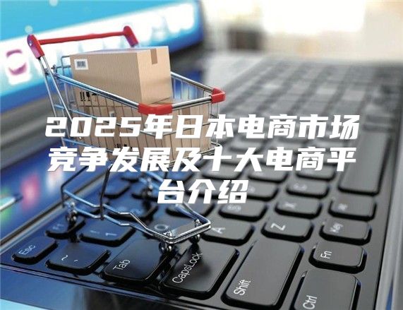 2025年日本电商市场竞争发展及十大电商平台介绍