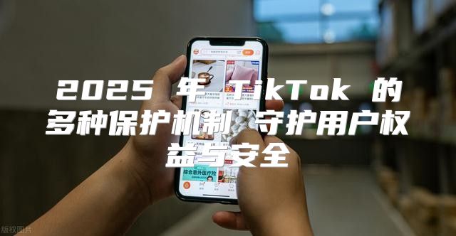 2025 年 TikTok 的多种保护机制 守护用户权益与安全