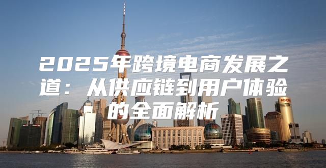 2025年跨境电商发展之道：从供应链到用户体验的全面解析