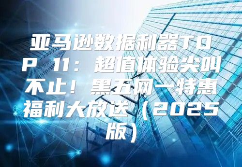 亚马逊数据利器TOP 11：超值体验尖叫不止！黑五网一特惠福利大放送2025版