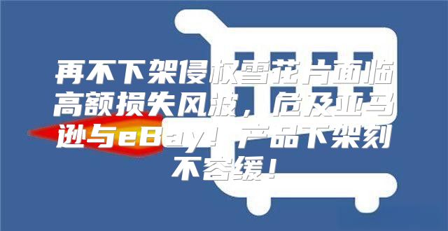 再不下架侵权雪花片面临高额损失风波，危及亚马逊与eBay！产品下架刻不容缓！