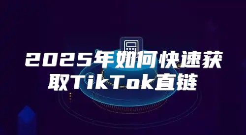 2025年如何快速获取TikTok直链