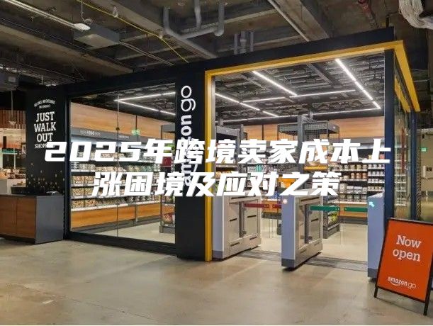 2025年跨境卖家成本上涨困境及应对之策